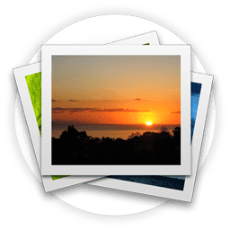 seasons of the synod photo contest