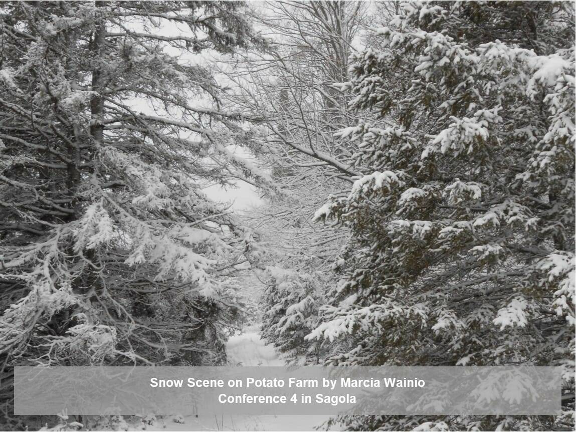 Snow Scene on Potato Farm by Marcia Wainio