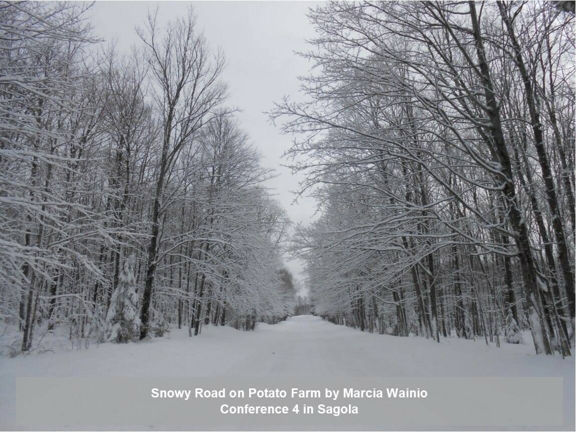 Snowy Road on Potato Farm by Marcia Wainio